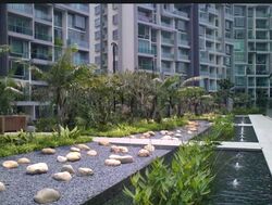 Botannia (D5), Retail #589653731